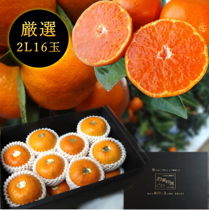 �ھ����ֹ棱������̪�Ĵݡ����β���Ȣ����ˡ����̥������������ץ�ߥ��ࡡ��������