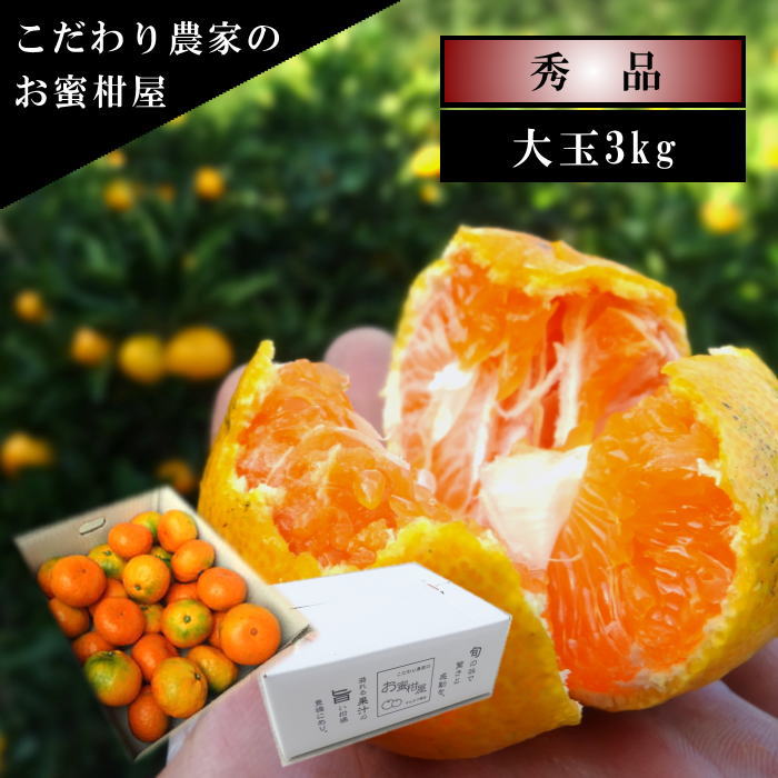 �ھ����ֹ棲�����ۤ������Υ��ե�Ȣ����̥����������ʡ��󣳣����