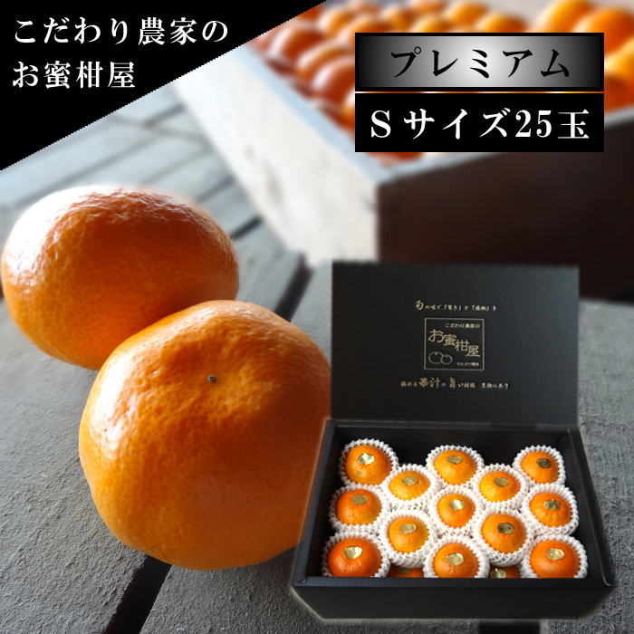 �ھ����ֹ棱�����۽���̣�������β���Ȣ����ˡ��ӥ������������ץ�ߥ��ࡡ��������