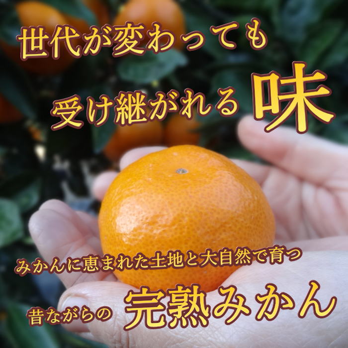 �ھ����ֹ棱�����۽���̣�������β���Ȣ����ˡ��ӥ������������ץ�ߥ��ࡡ��������