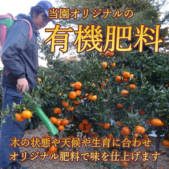 �ھ����ֹ棱�����۽���̣�������β���Ȣ����ˡ��ӥ������������ץ�ߥ��ࡡ��������