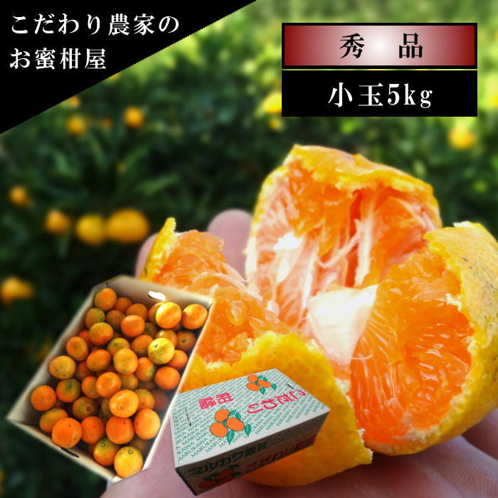 ھֹ棲ۤ󡡥쥮顼Ȣ̥ʡ󣵣