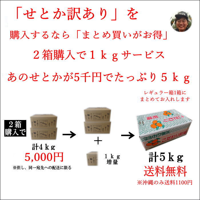 �ھ����ֹ棴�������ڽϤ��Ȥ�����Ȣ�����������硡�������ʡ��󣲣��