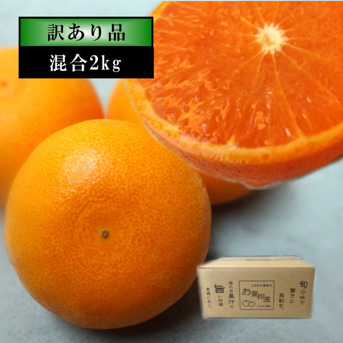 �ھ����ֹ棴�������ڽϤ��Ȥ�����Ȣ�����������硡�������ʡ��󣲣��