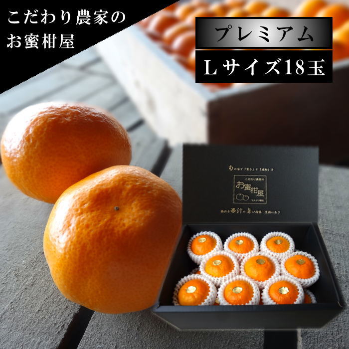 �ھ����ֹ棱�����۽���̣�������β���Ȣ����ˡ��̥������������ץ�ߥ��ࡡ��������