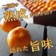 �ھ����ֹ棱�����۽���̣�������β���Ȣ����ˡ��̥������������ץ�ߥ��ࡡ��������