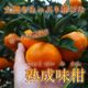 �ھ����ֹ棱�����۽���̣�������β���Ȣ����ˡ��̥������������ץ�ߥ��ࡡ��������