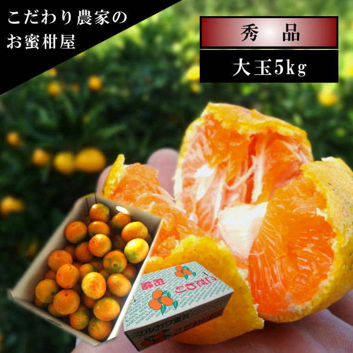 ھֹ棲ۤ󡡥쥮顼Ȣ̥ʡ󣵣