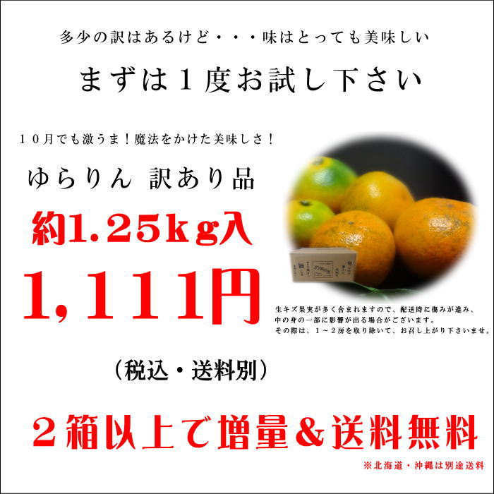 �ھ����ֹ棲�����ۤ���󡡥��������硡�������ʡ��󣱡����������