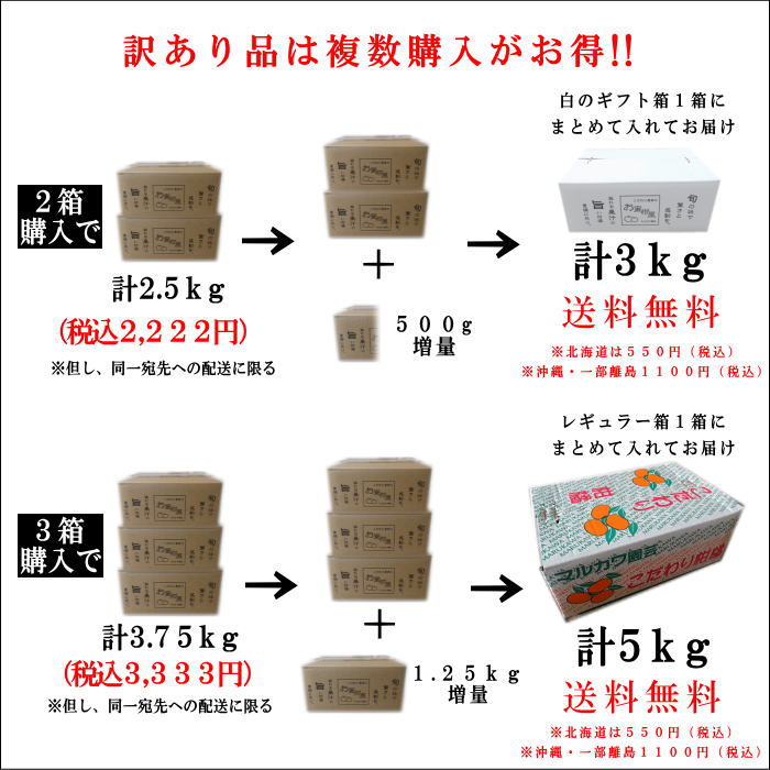 �ھ����ֹ棲�����ۤ���󡡥��������硡�������ʡ��󣱡����������