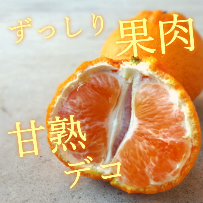 �ھ����ֹ棴�����۴Žϥǥ�����Υ��ե�Ȣ�����������硡��ͥ�����ʡ��󣳣����