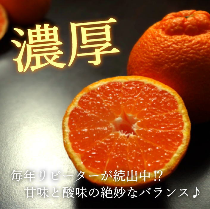 �ھ����ֹ棴�����۴Žϥǥ�����Υ��ե�Ȣ�����������硡��ͥ�����ʡ��󣳣����