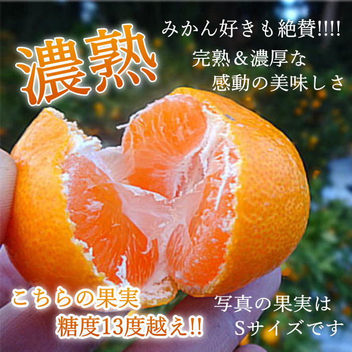 ھֹ棱̪ĴݡβȢӥץߥࡡ
