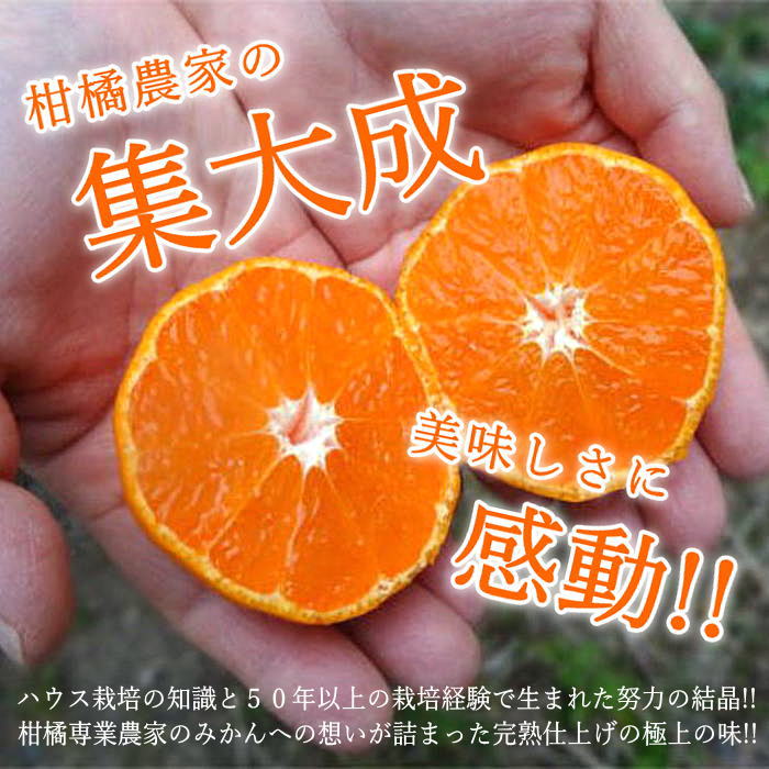 ھֹ棱̪ĴݡβȢӥץߥࡡ