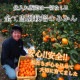 ھֹ棱̪ĴݡβȢӥץߥࡡ