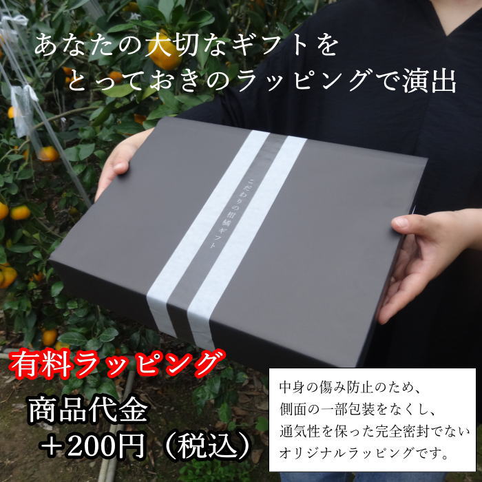 �ھ����ֹ棱������̪�Ĵݡ���β���Ȣ���ͥ������������ץ�ߥ��ࡡ��������