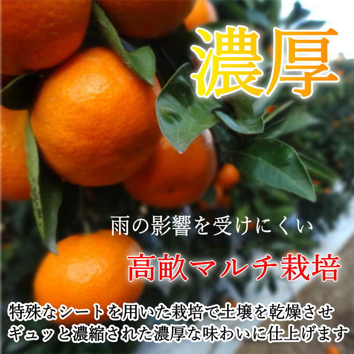 �ھ����ֹ棱������̪�Ĵݡ���β���Ȣ���ͥ������������ץ�ߥ��ࡡ��������