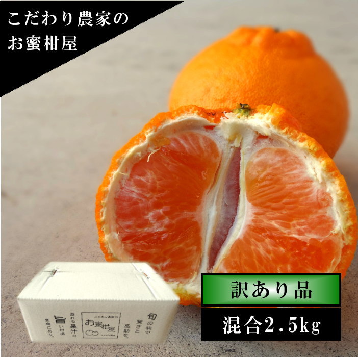 �ھ����ֹ棴�����۴Žϥǥ�����Υ��ե�Ȣ�����������硡�������ʡ��󣲡��������