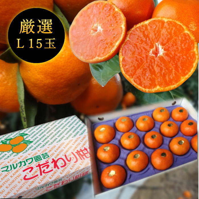 ھֹ棱̪ĴݡβȢ̥ץߥࡡ