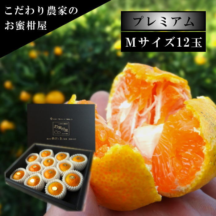 �ھ����ֹ棲�����ۤ���󡡹��β���Ȣ���ͥ������������ץ�ߥ��ࡡ��������