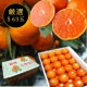 �ھ����ֹ棱������̪�Ĵݡ��쥮��顼Ȣ���ӥ������������ץ�ߥ��ࡡ��������