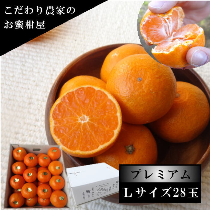 �ھ����ֹ棵�������д�������Υ��ե�Ȣ���̥������������ץ�ߥ��ࡡ������