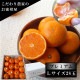 �ھ����ֹ棵�������д�������Υ��ե�Ȣ���̥������������ץ�ߥ��ࡡ������