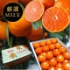 �ھ����ֹ棱������̪�Ĵݡ��쥮��顼Ȣ���ͥ������������ץ�ߥ��ࡡ��������