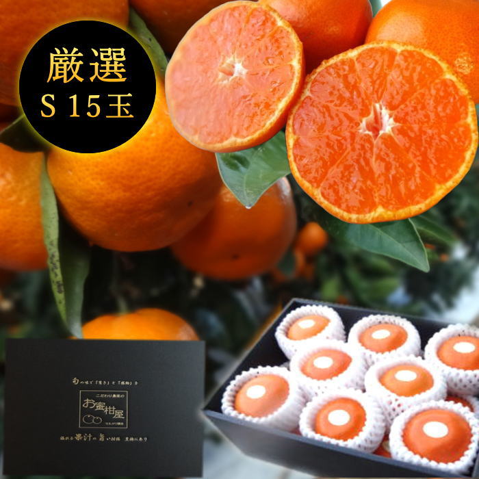 �ھ����ֹ棱������̪�Ĵݡ����β���Ȣ����ˡ��ӥ������������ץ�ߥ��ࡡ��������