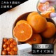 �ھ����ֹ棵�������д�������Υ��ե�Ȣ�����̥������������ץ�ߥ��ࡡ������