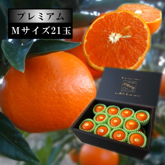 �ھ����ֹ棳������̪Ƿ˾�����β���Ȣ����ˡ��ͥ������������ץ�ߥ��ࡡ��������