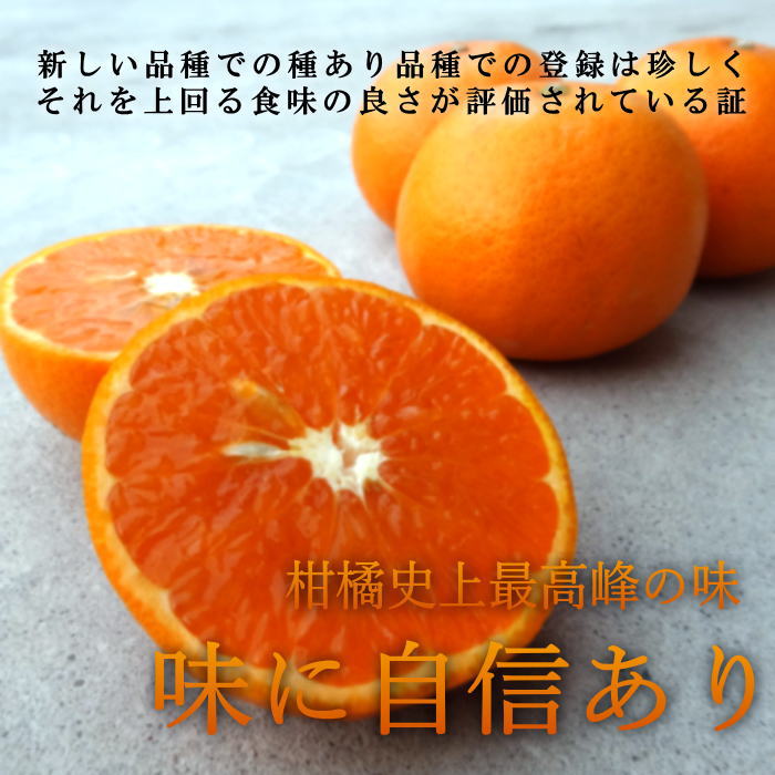 �ھ����ֹ棳������̪Ƿ˾�����β���Ȣ����ˡ��̥������������ץ�ߥ��ࡡ��������