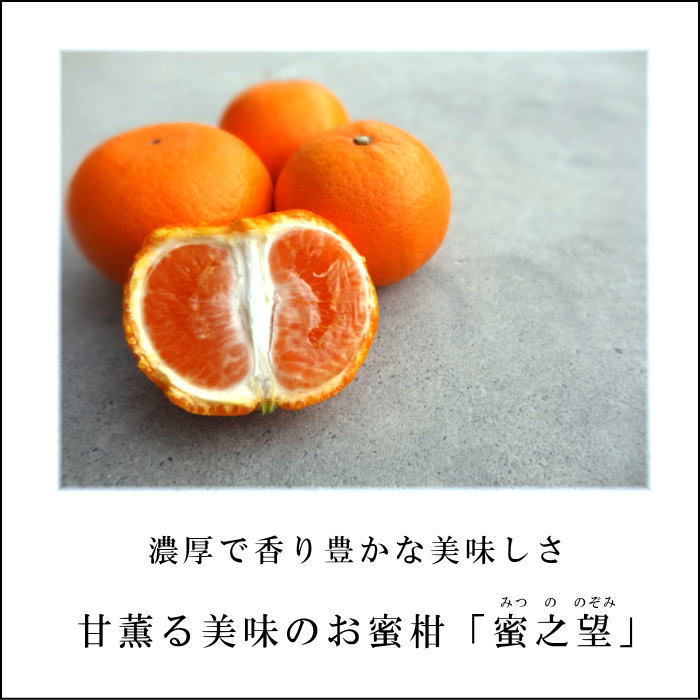 ھֹ棳̪Ƿ˾βȢˡ̥ץߥࡡ