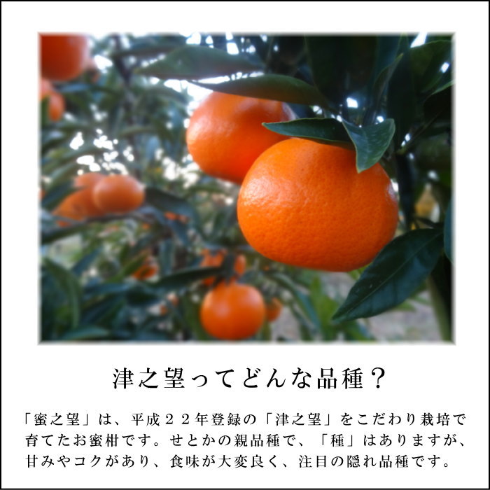 ھֹ棳̪Ƿ˾βȢˡ̥ץߥࡡ