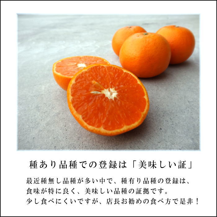 ھֹ棳̪Ƿ˾βȢˡ̥ץߥࡡ