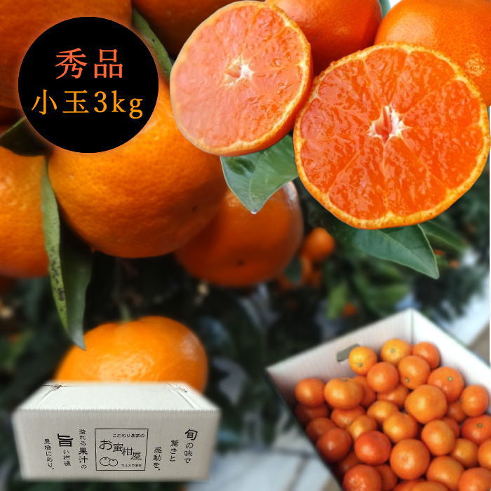 �ھ����ֹ棱������̪�Ĵݡ���Υ��ե�Ȣ�����̥����������ʡ��󣳣����