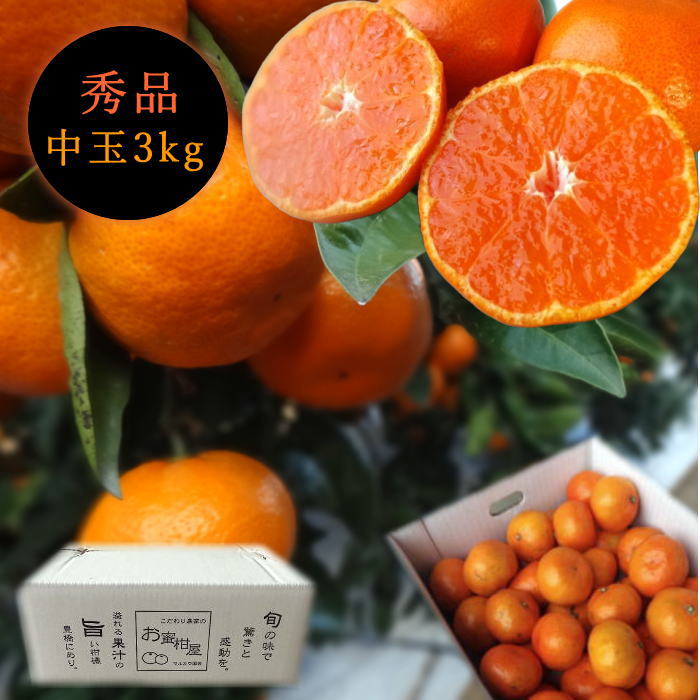 �ھ����ֹ棱������̪�Ĵݡ���Υ��ե�Ȣ����̥����������ʡ��󣳣����