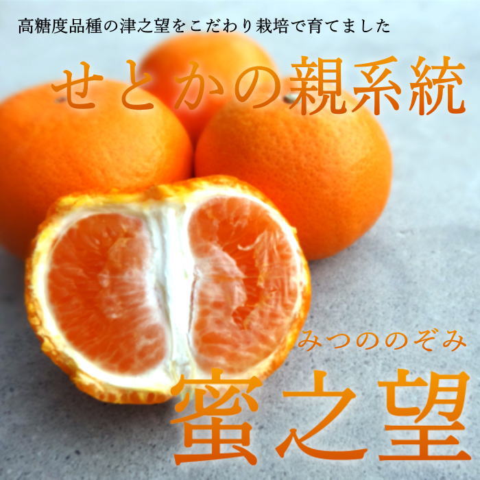 �ھ����ֹ棳������̪Ƿ˾�����β���Ȣ����ˡ����̥������������ץ�ߥ��ࡡ��������