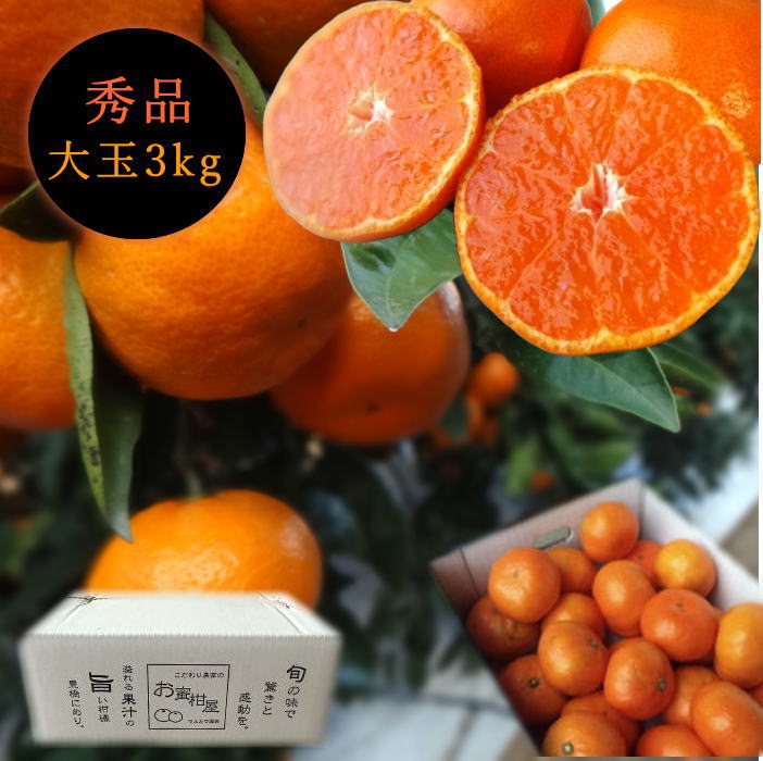 �ھ����ֹ棱������̪�Ĵݡ���Υ��ե�Ȣ����̥����������ʡ��󣳣����
