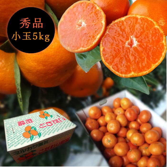 �ھ����ֹ棱������̪�Ĵݡ��쥮��顼Ȣ�����̥����������ʡ��󣵣����
