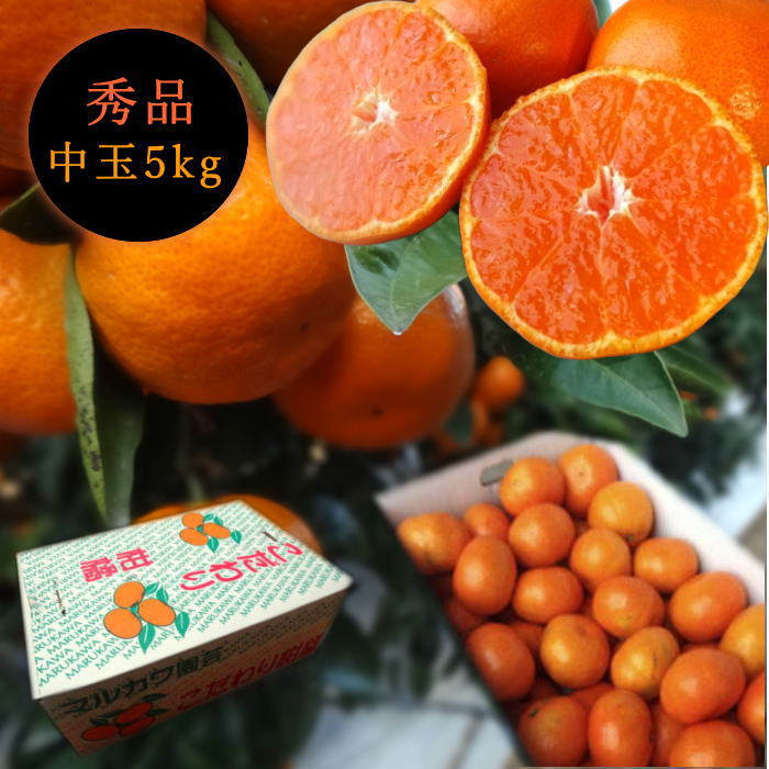 �ھ����ֹ棱������̪�Ĵݡ��쥮��顼Ȣ����̥����������ʡ��󣵣����