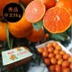 �ھ����ֹ棱������̪�Ĵݡ��쥮��顼Ȣ����̥����������ʡ��󣵣����