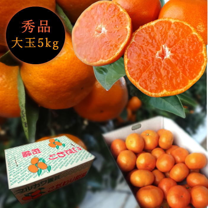 �ھ����ֹ棱������̪�Ĵݡ��쥮��顼Ȣ����̥����������ʡ��󣵣����