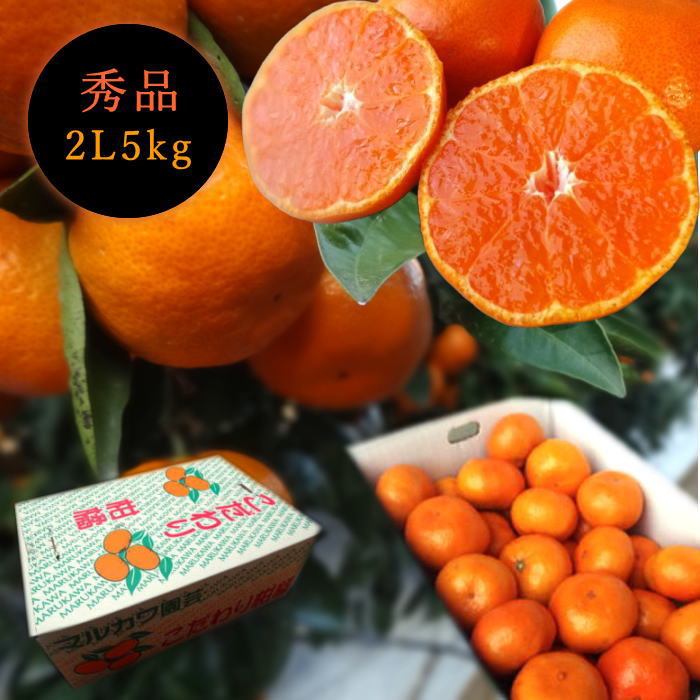 �ھ����ֹ棱������̪�Ĵݡ��쥮��顼Ȣ�����̥����������ʡ��󣵣����