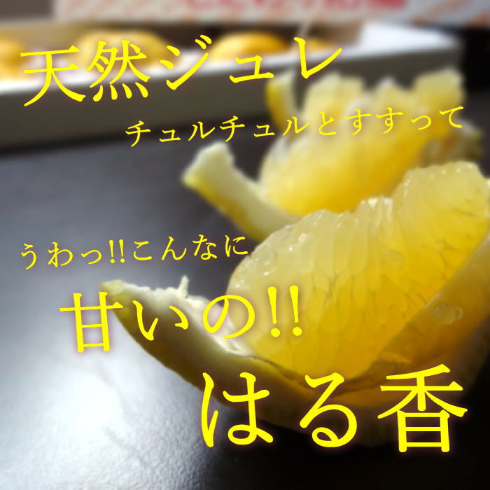 �ھ����ֹ棹�����ۤ�����ꤪ�ߤ���̼�Ȣ-���ڤ��ߤ���-����Ȣ������ʡ��󣲣����