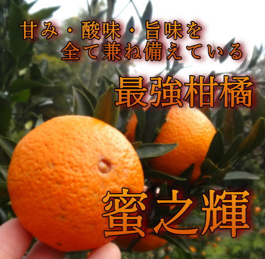 �ھ����ֹ棹�����ۤ�����ꤪ�ߤ���̼�Ȣ-���ڤ��ߤ���-����Ȣ������ʡ��󣲣����