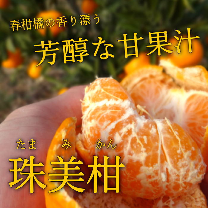 �ھ����ֹ棹�����ۤ�����ꤪ�ߤ���̼�Ȣ-���ڤ��ߤ���-����Ȣ������ʡ��󣲣����