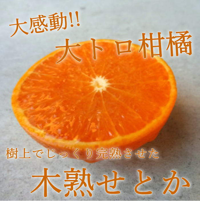 �ھ����ֹ棹�����ۤ�����ꤪ�ߤ���̼�Ȣ-���ڤ��ߤ���-����Ȣ������ʡ��󣲣����
