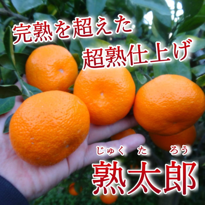 �ھ����ֹ棹�����ۤ�����ꤪ�ߤ���̼�Ȣ-���ڤ��ߤ���-����Ȣ������ʡ��󣲣����