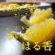 �ھ����ֹ棹�����ۤ�����ꤪ�ߤ���̼�Ȣ-���ڤ��ߤ���-����Ȣ������ʡ��󣲣����